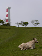 En route to Gribbin Head
