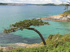 Carrick Road - the mouth of the Fal