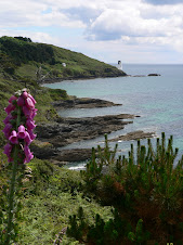 Looking back towards St Anthony's Head
