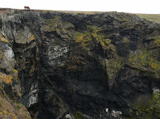 Sheer cliffs and suicidal Long Horn