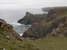The rugged coastline near Rill Point