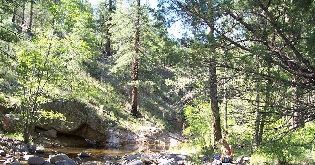 Southern New Mexico Explorer Along Las Animas Creek Gila National Forest