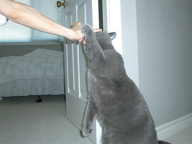 [CIMG0121.JPG]