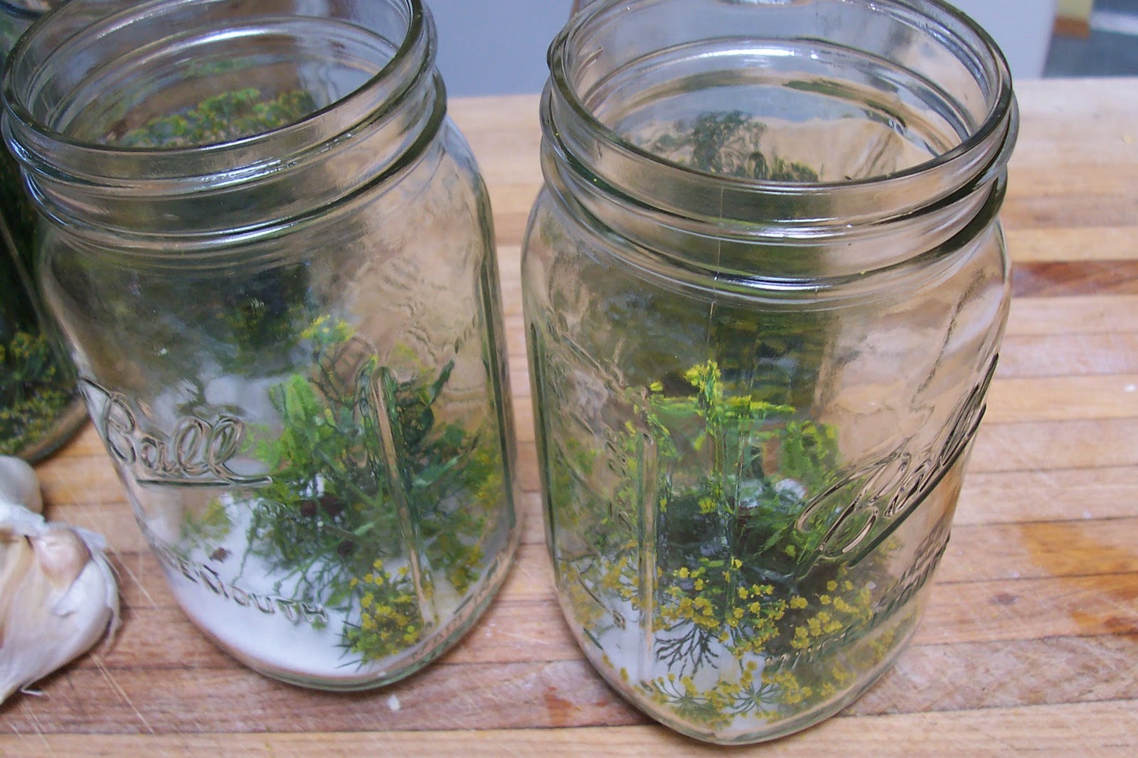 Mermaids Treasures Musings of an Antique Lil Girl Cold Pack Dill Pickles