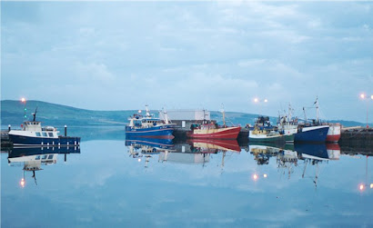 Dingle in the Morning