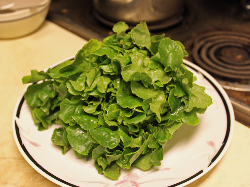 Ode Street Tribune excellent lettuce