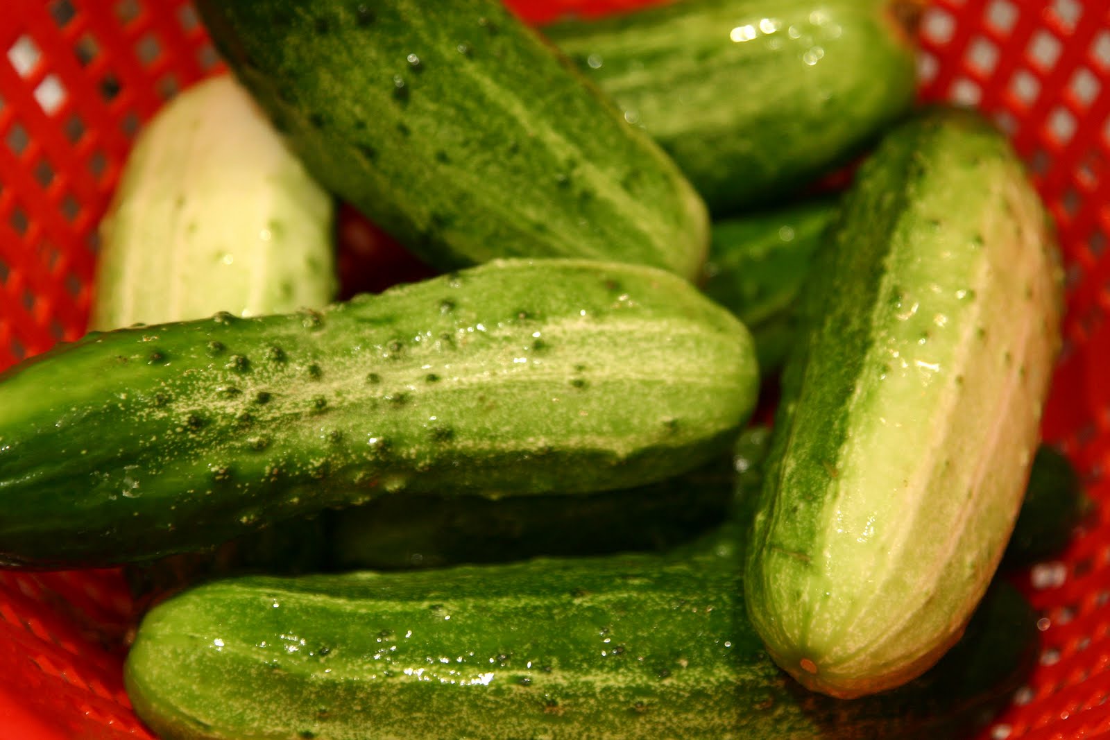 Cacklefruit Charlie Boy’s Swamp Pickles and The Best Granola Ever Made
