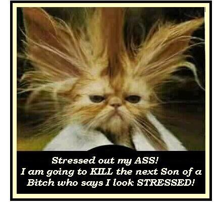My World: Stress