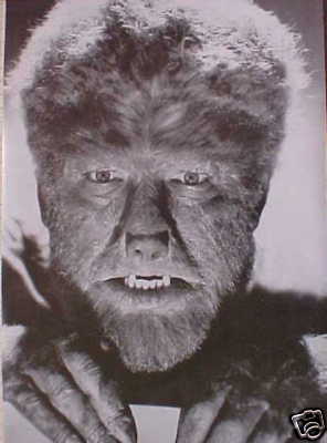 [wolfmanposter.JPG]