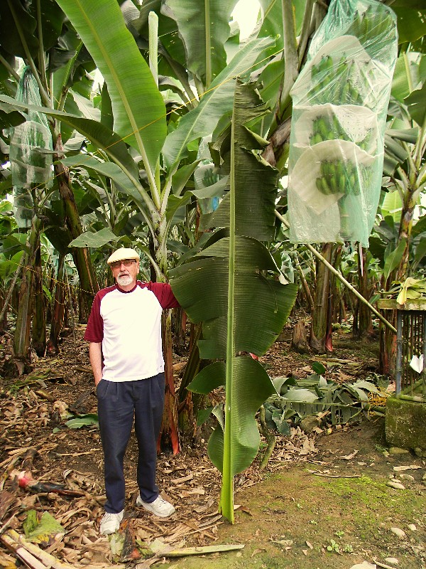 Nancy and Chuck Retirement in Ecuador Saga of the Banana Plantation