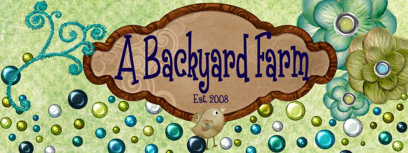 The Backyard Farm