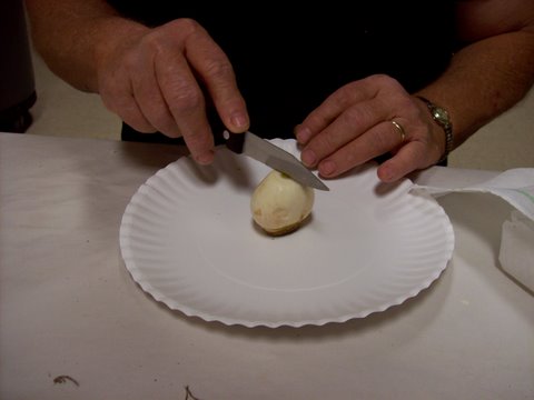 [Picturecollection_075.jpg]