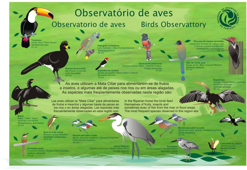 [Painel+04+Aves.jpg]