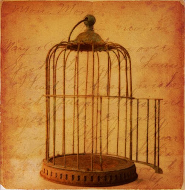 The Old Bird Cage