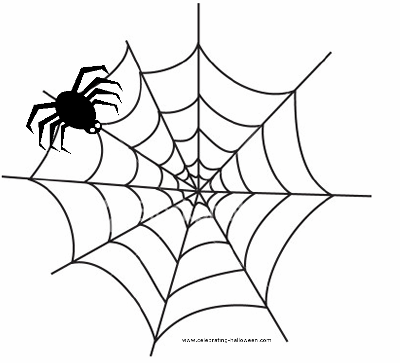 spider web template xseeerede2012 spider web images free spider web template xseeerede2012 spider web images free