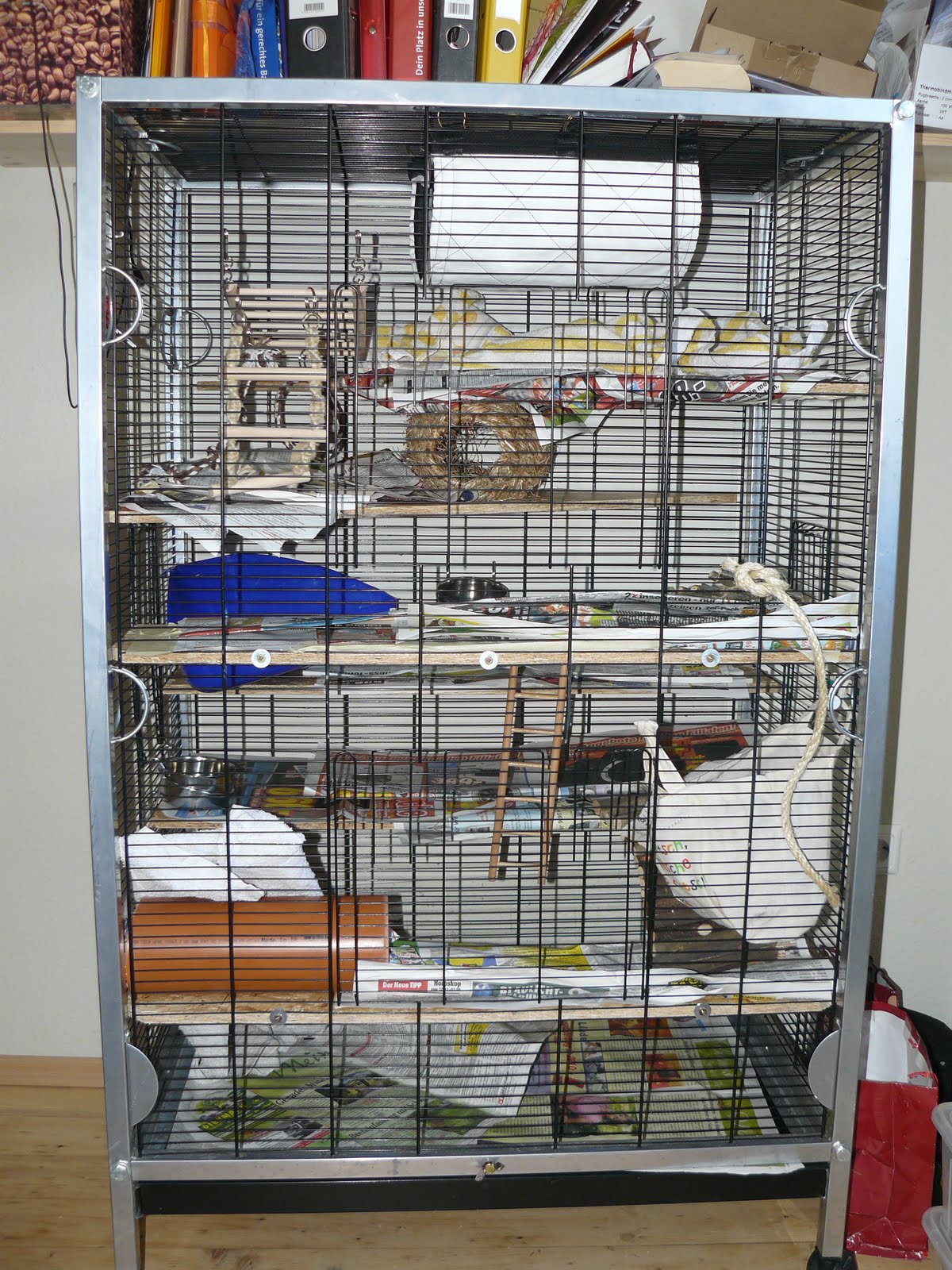 AnKa: Die Ratten können kommen