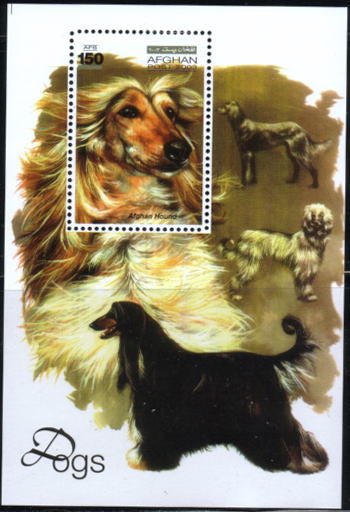 2003年アフガニスタン・イスラム国　アフガン・ハウンドの切手シート
