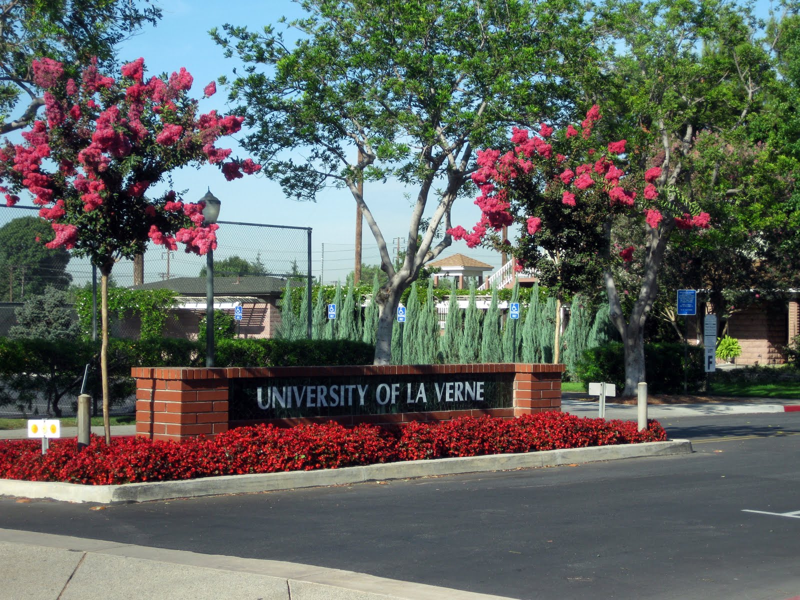 La Verne Leopard Runner August 2010