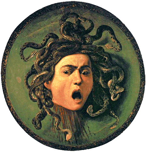 meduse.png