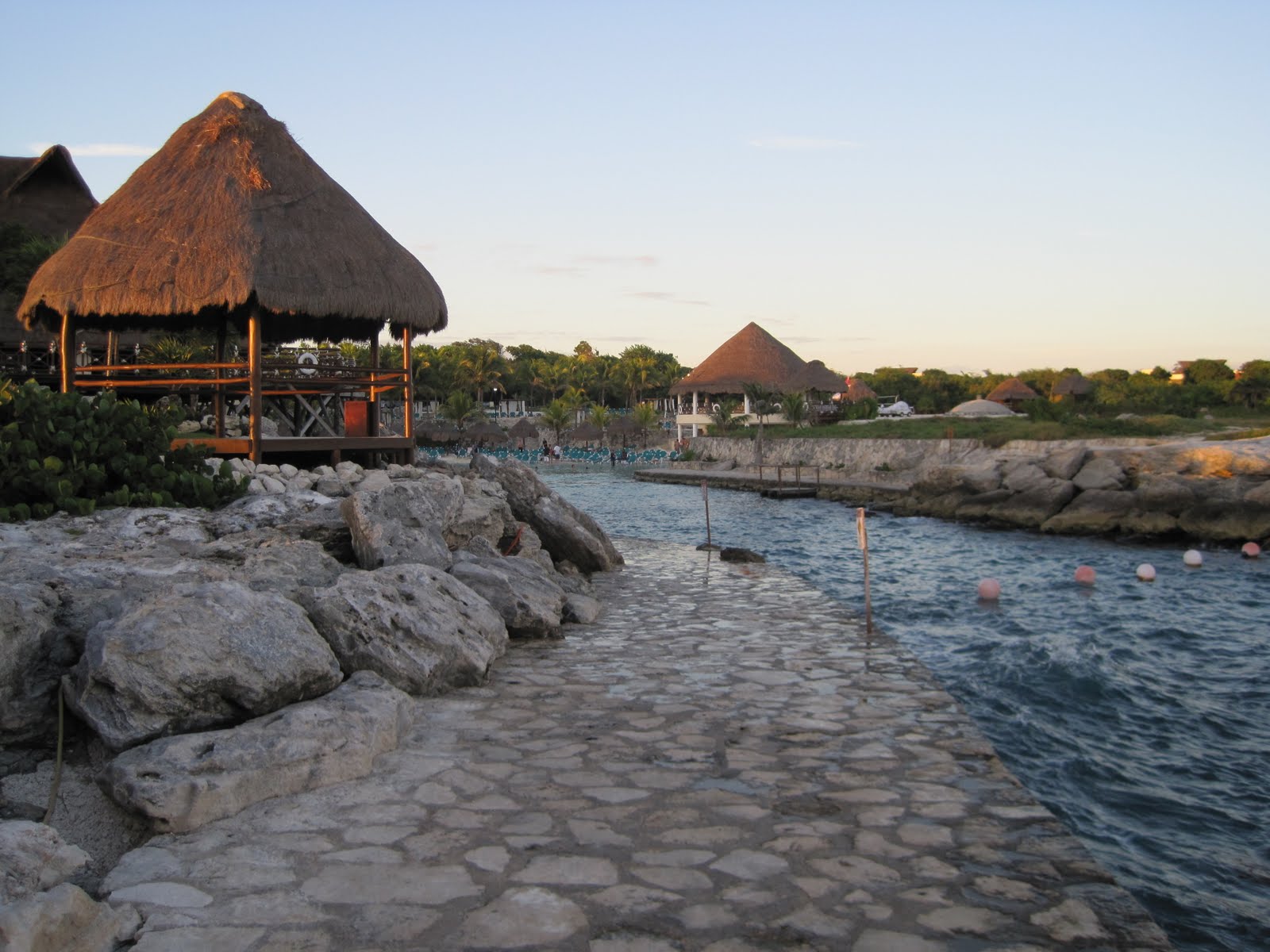 [buddy+pics+173.JPG]