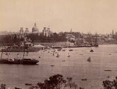 Garden Palace viewed from Sydney's North Shore ca. 1879-1882