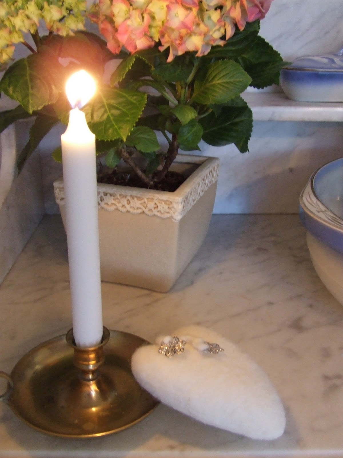 Torpet stenlyckan: januari 2011