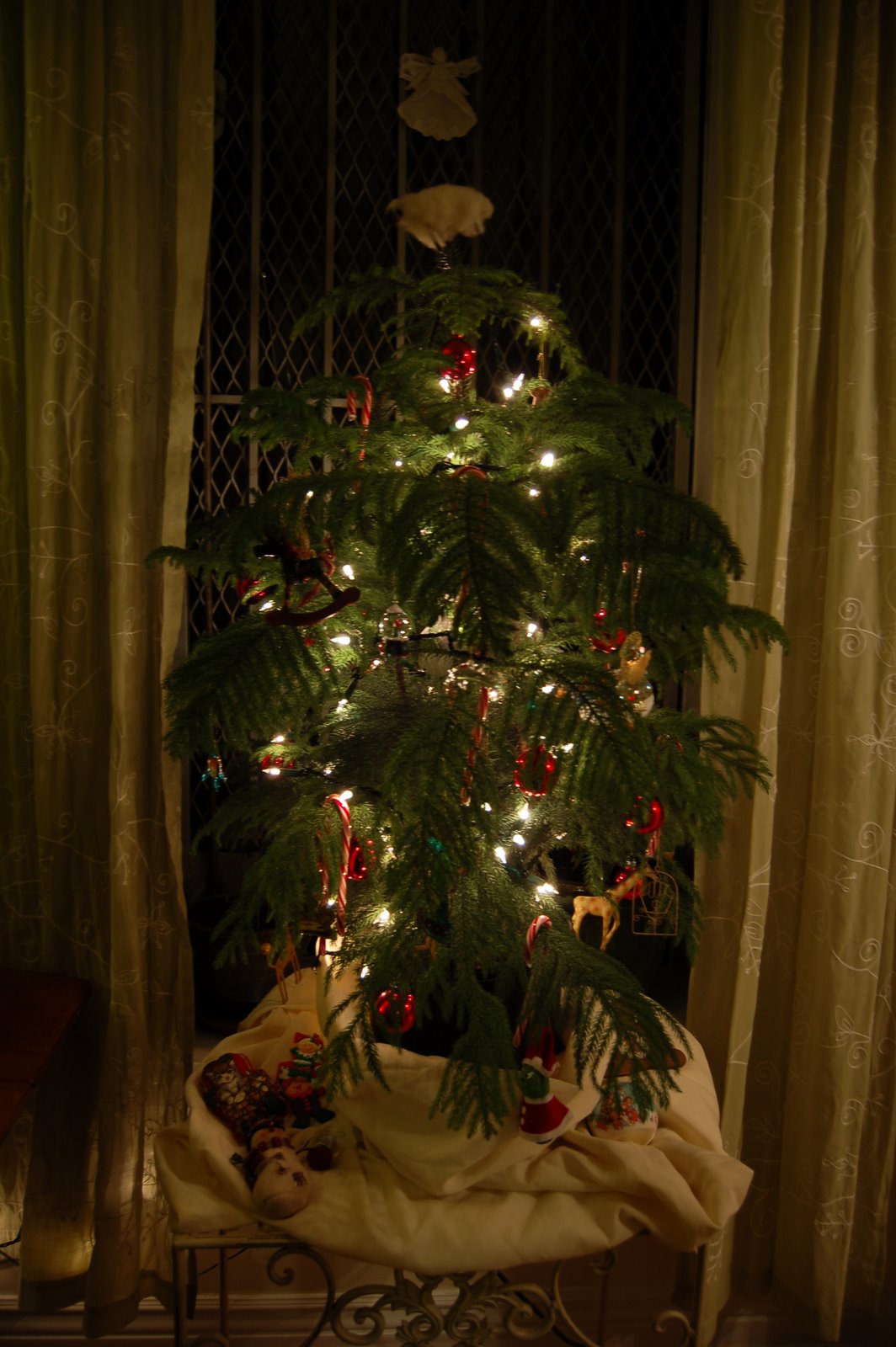 [DSC_4100.JPG]