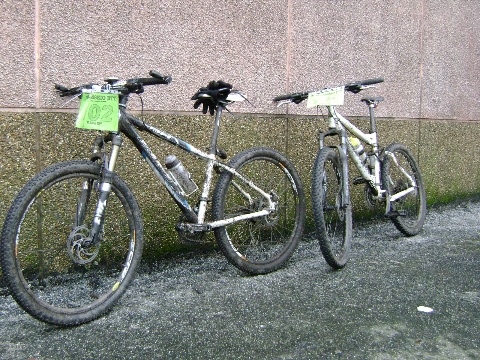 [DSC01596.JPG]