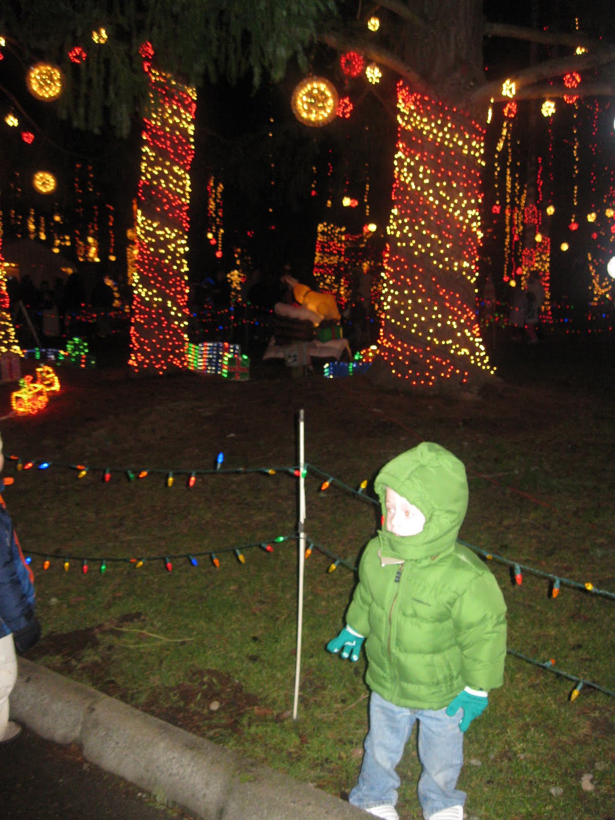 Palmgren Family Christmas Lights at Warm Beach!!