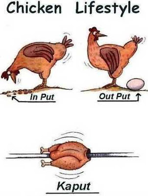 funny Chicken