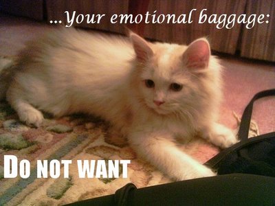 [your+emotional+baggage.jpg]