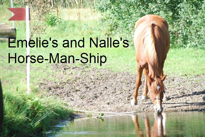 Emelie's and Nalle's Horse-Man-Ship