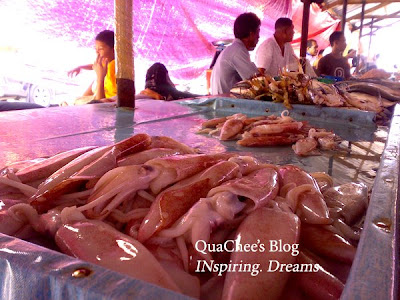 kk market, squid