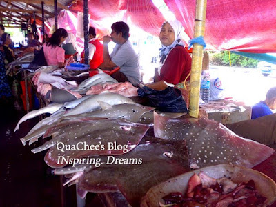 kk market, stingray