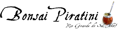 Bonsai Piratini Online