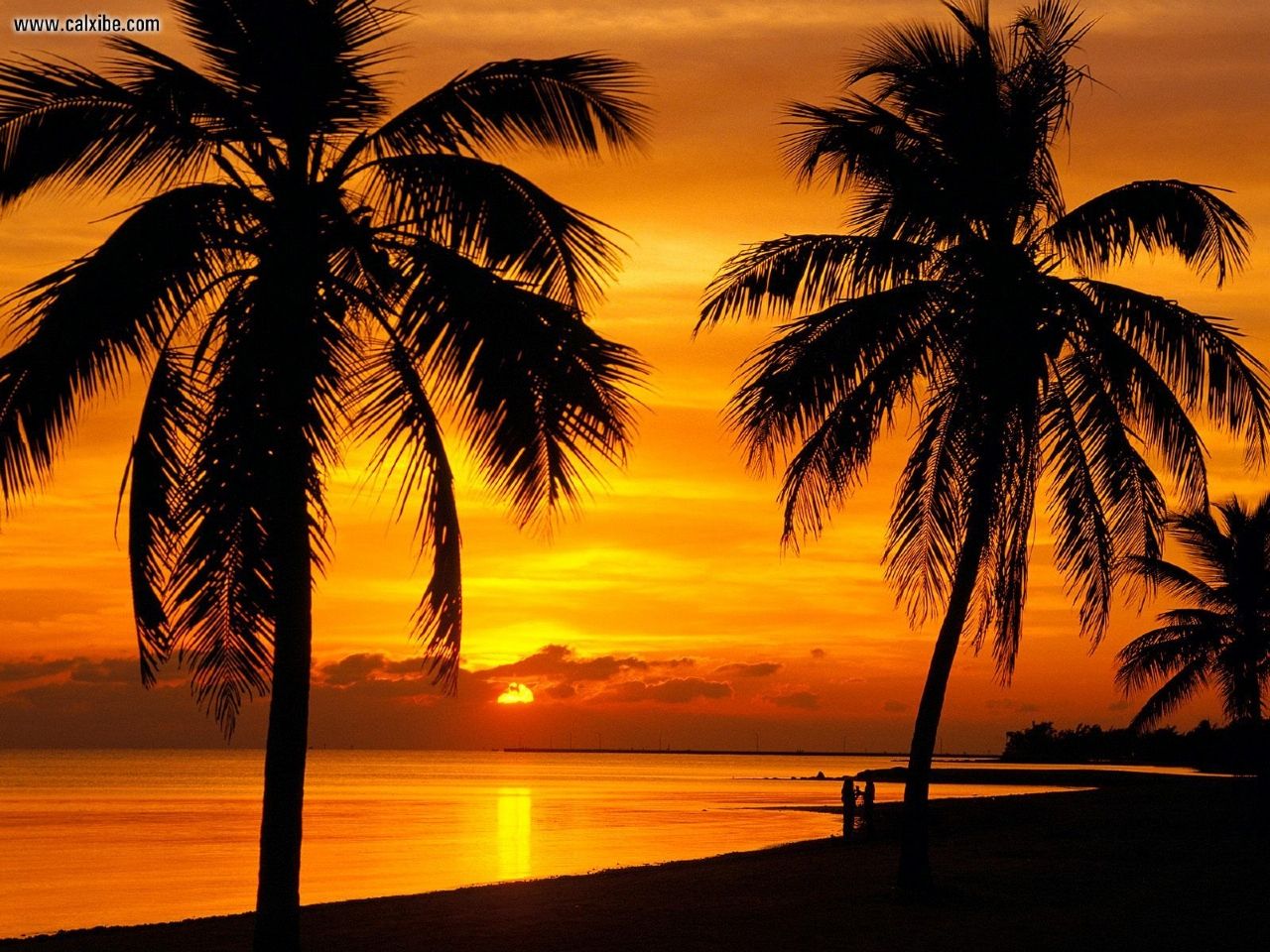 Miami by me: Coucher de Soleil