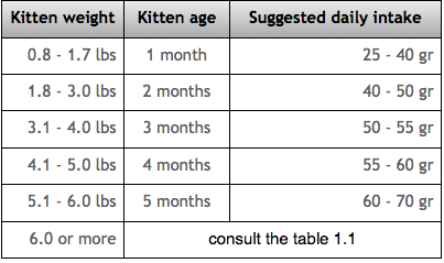 Kitten Weight Chart Kg