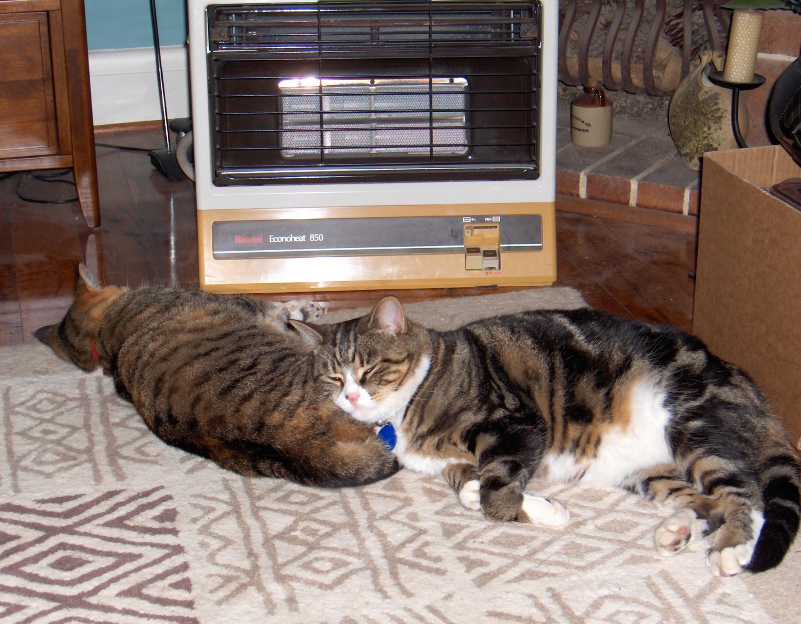 [Wilson+&+Ellie+27+May+2008.JPG]