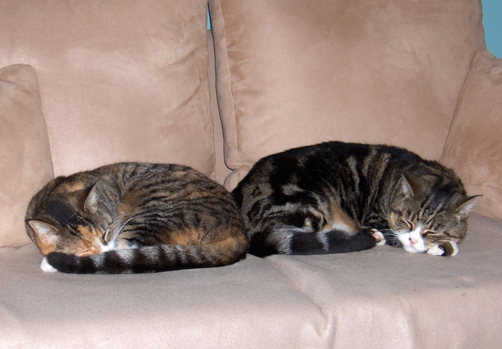 [Ellie+&+Wilson+June+2008+a.JPG]