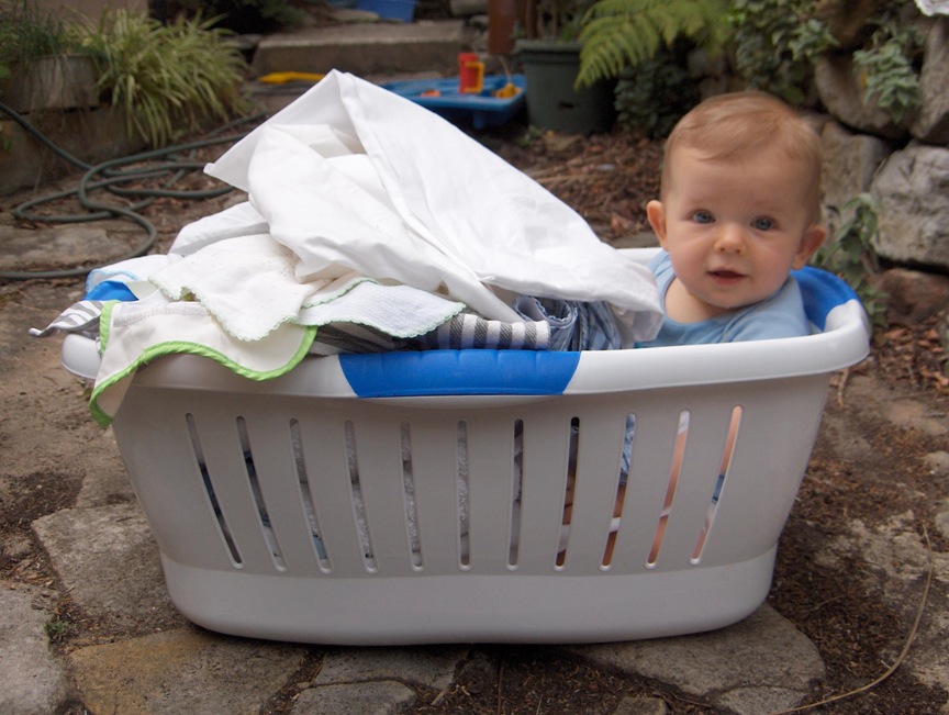 [Joseph+in+the+Washing+Basket+240207+(2).jpg]
