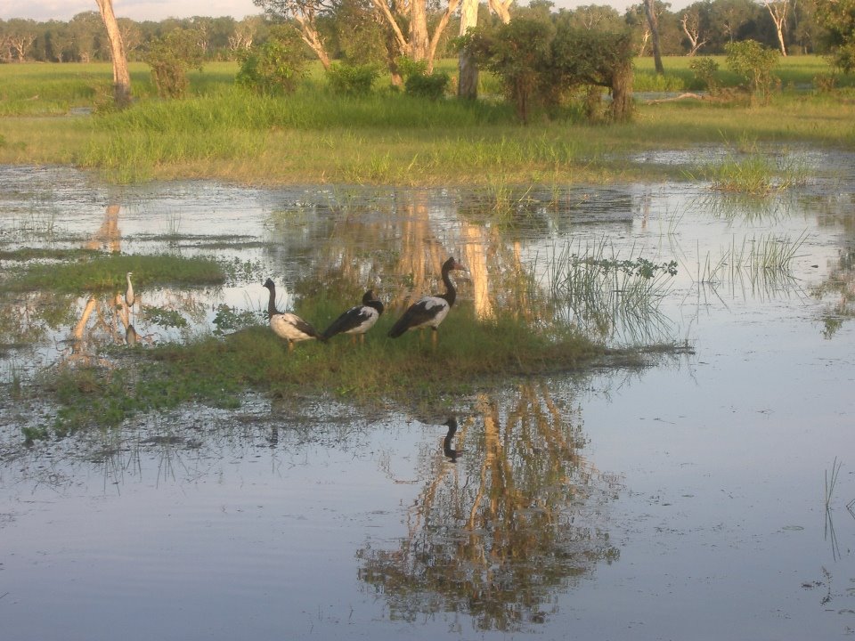 [Kakadu+National+Park+May+2007.JPG]
