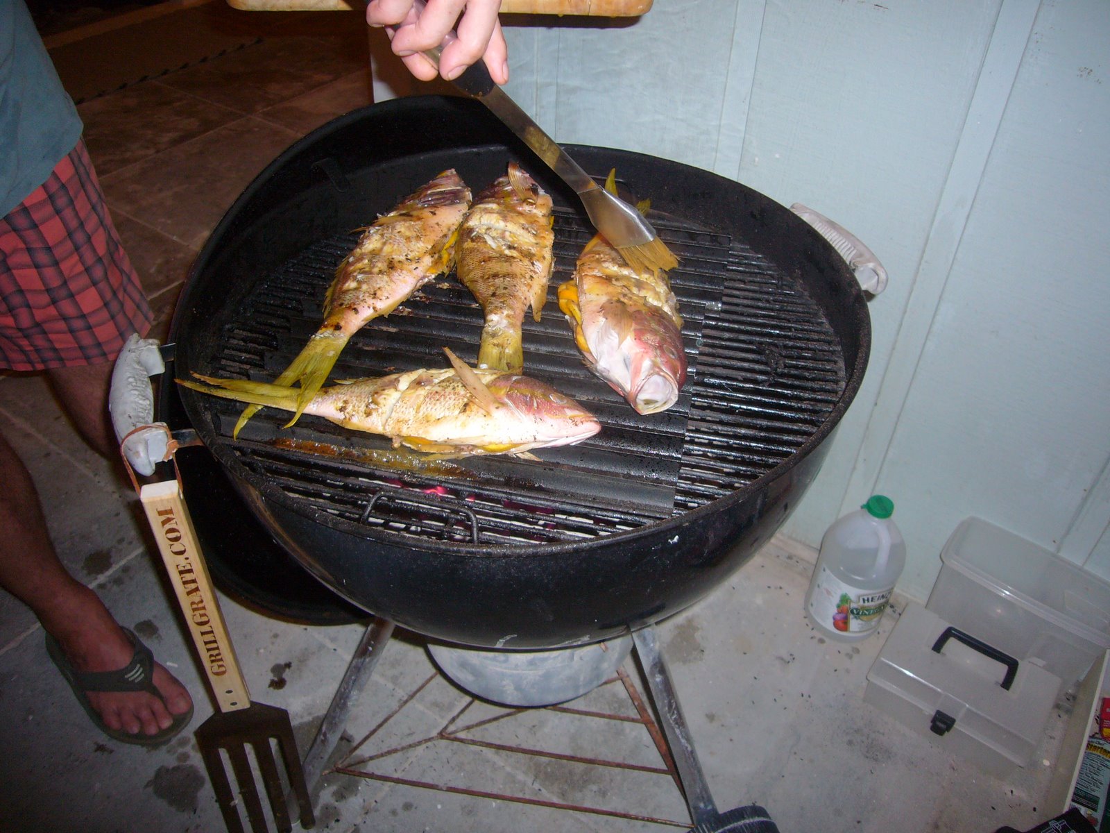[P1080064.JPG]