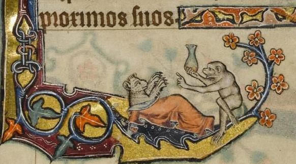 [marginalia_macclesfield_bearpatient.jpg]