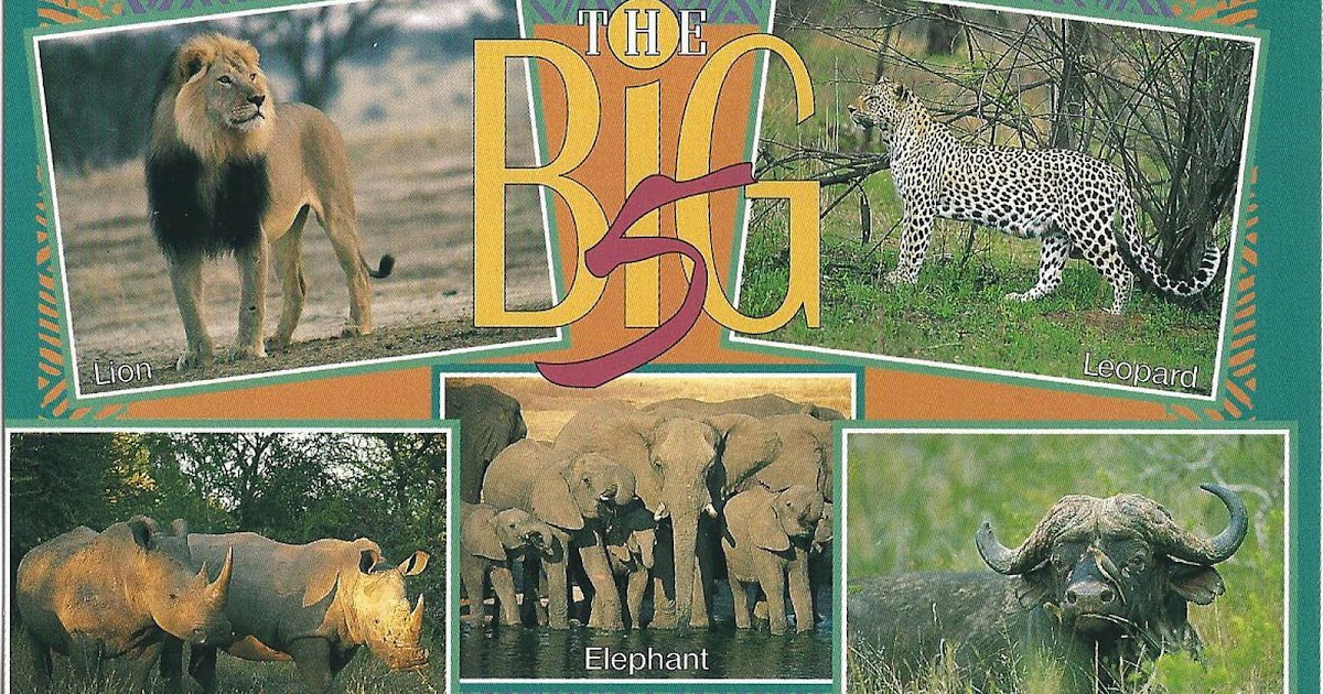 egyptian magic travel size