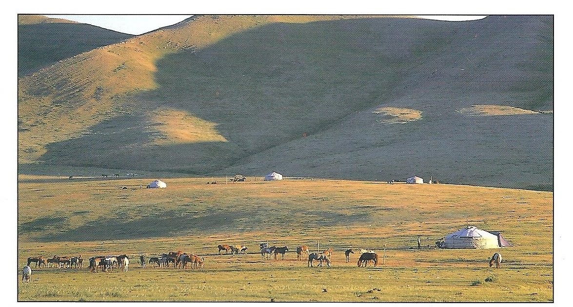 A Plethora of Postcards: Mongolia