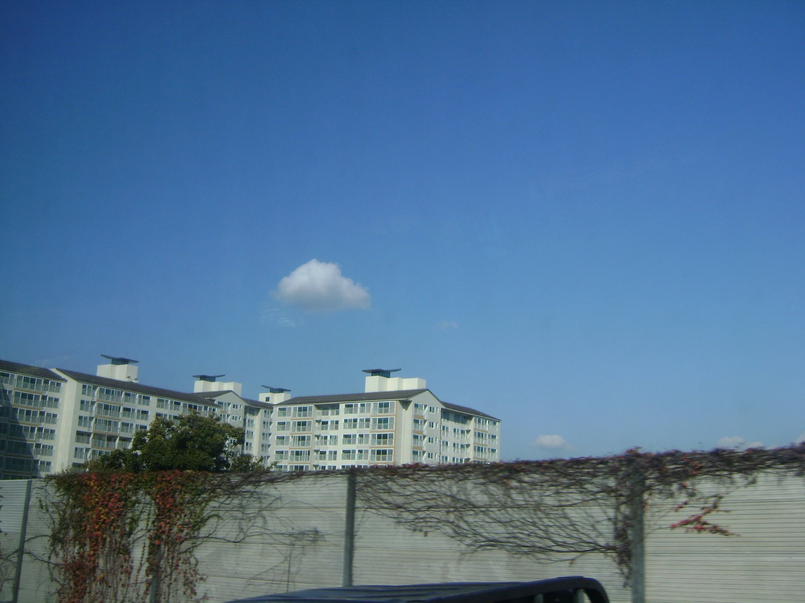 [DSC01219.JPG]