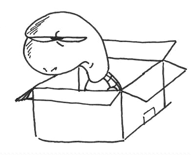 Turtle Cartoon Picture Turtle Cartoon Picture