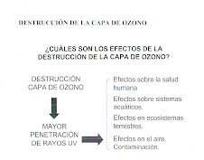 DESTRUCCIÓN CAPA DE OZONO