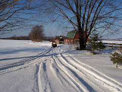 Snow Mobile in New York