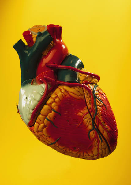 The most common symptoms of heart disease in women*: The most common symptoms of heart disease in women*: